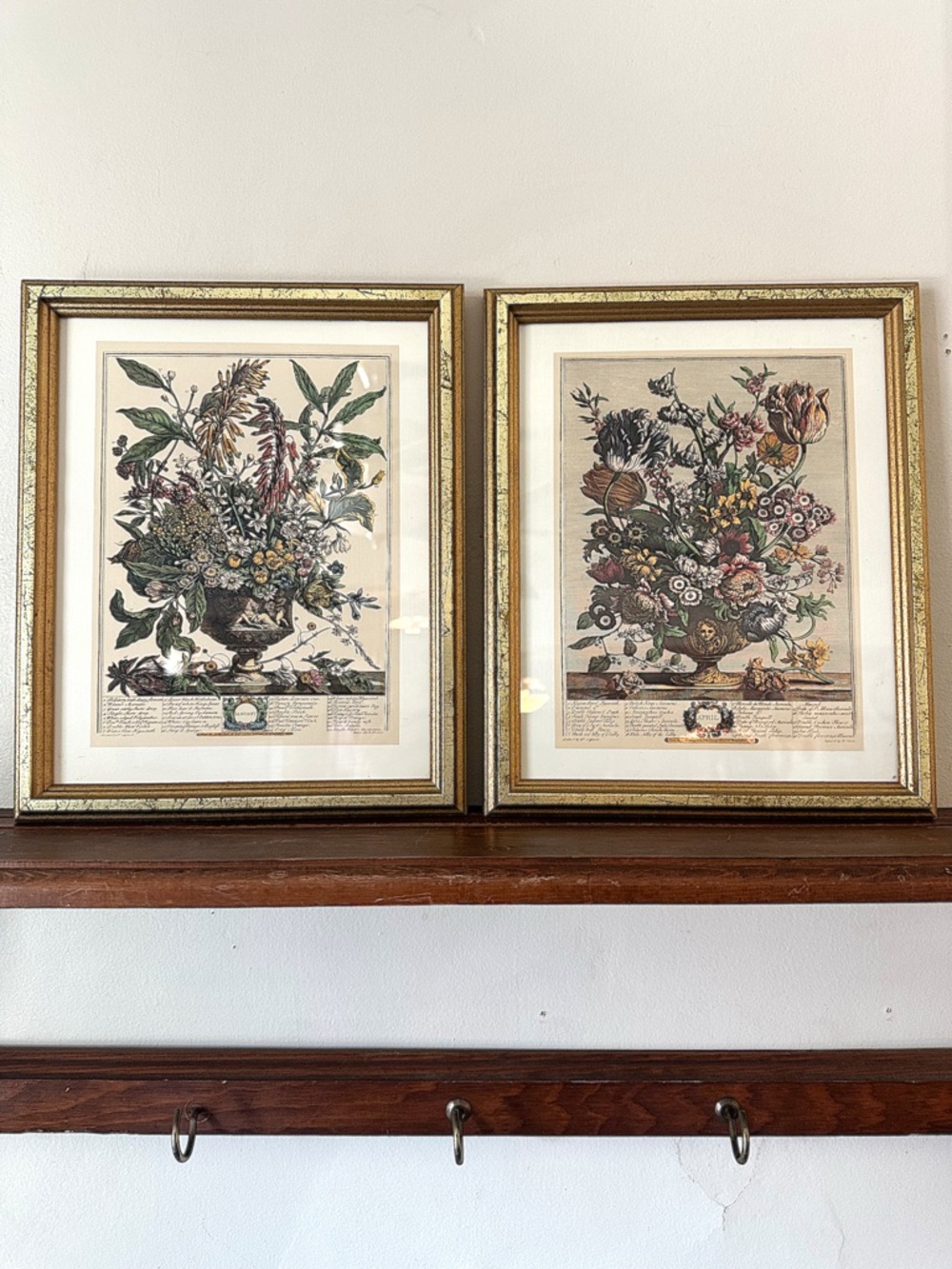 Framed Vintage Botanical Prints in Gold Frame